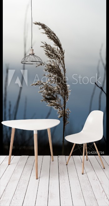 Image de One glowing reed flower